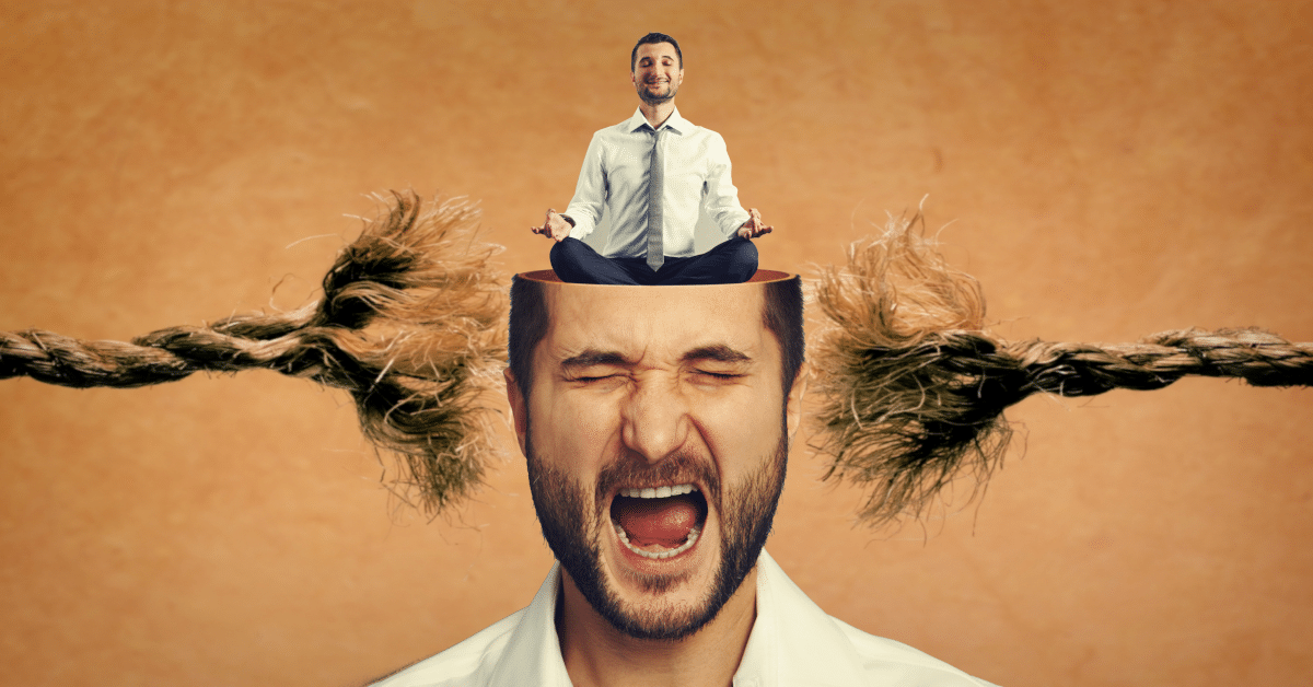 como desenvolver a Inteligência Emocional
